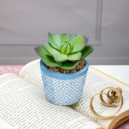 Artificial Succulent Plant in a Ceramic Pot