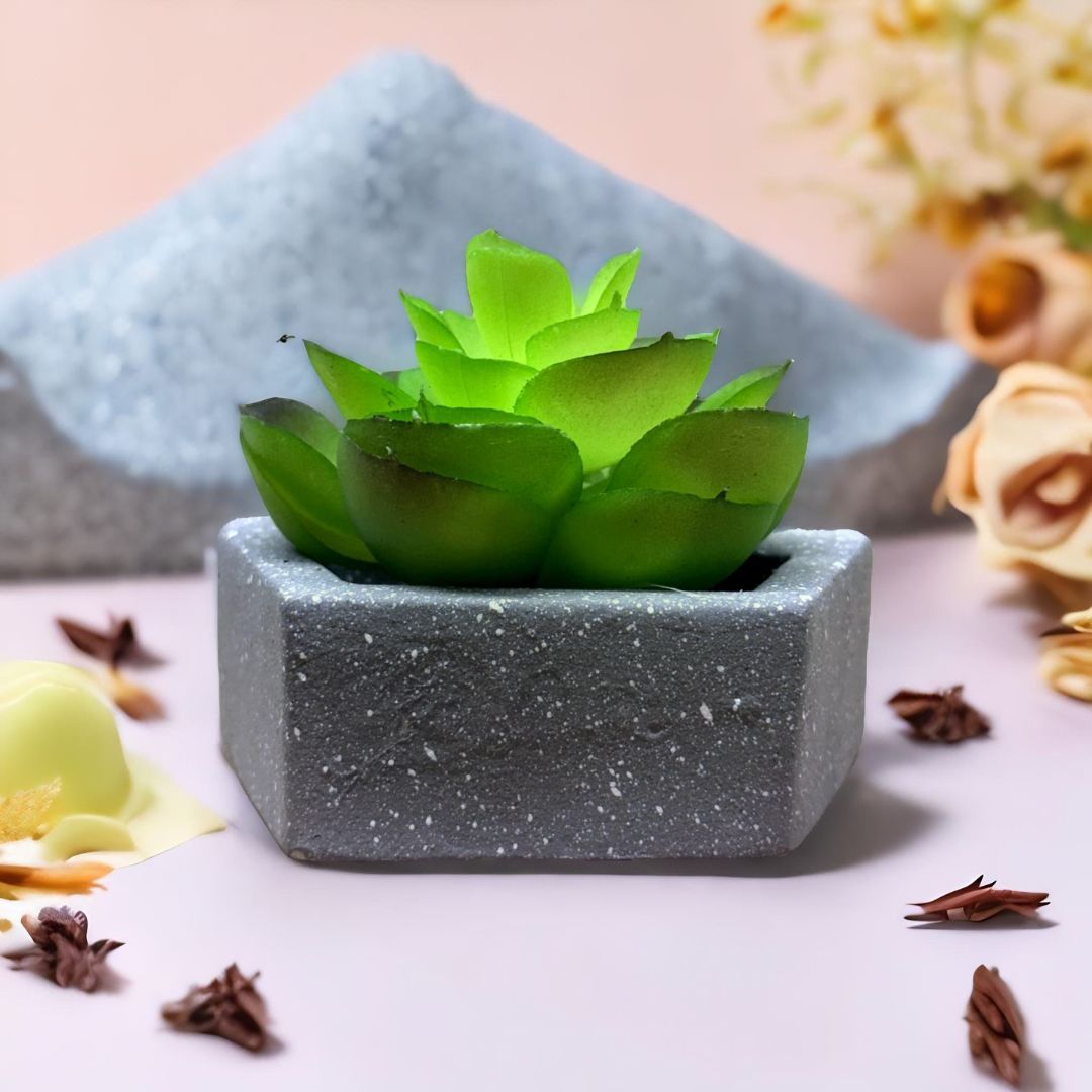 Artificial Succulent in Hexagonal Base