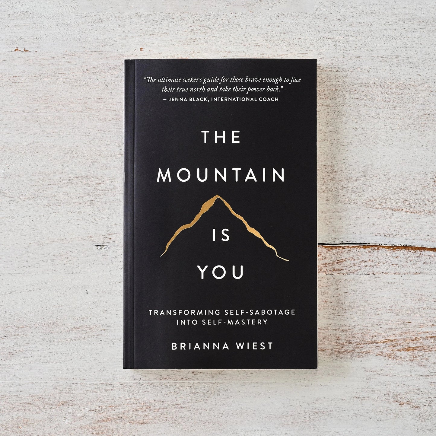 The Mountain Is You : Book