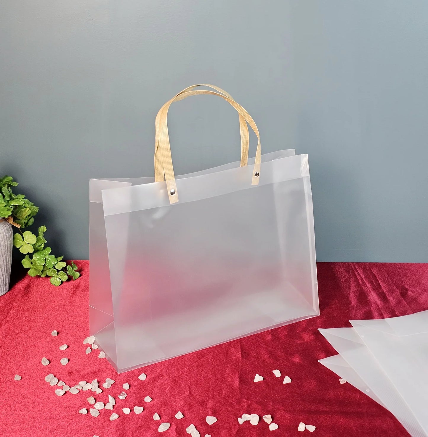 Translucent Bag