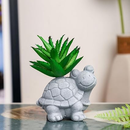 Artificial Succulent in Turtle base